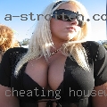 Cheating housewives